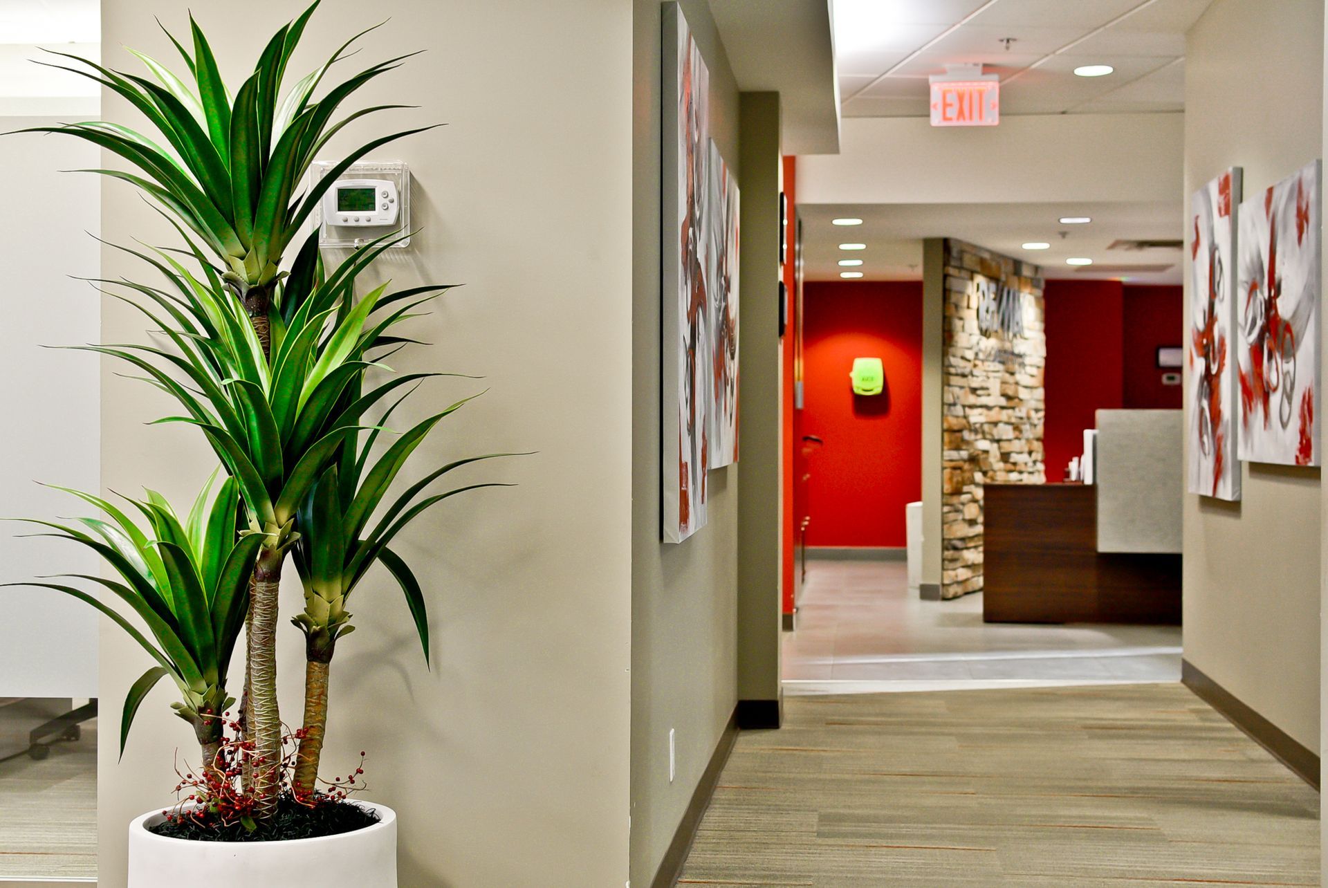 A potted plant is sitting in a hallway next to a red wall.