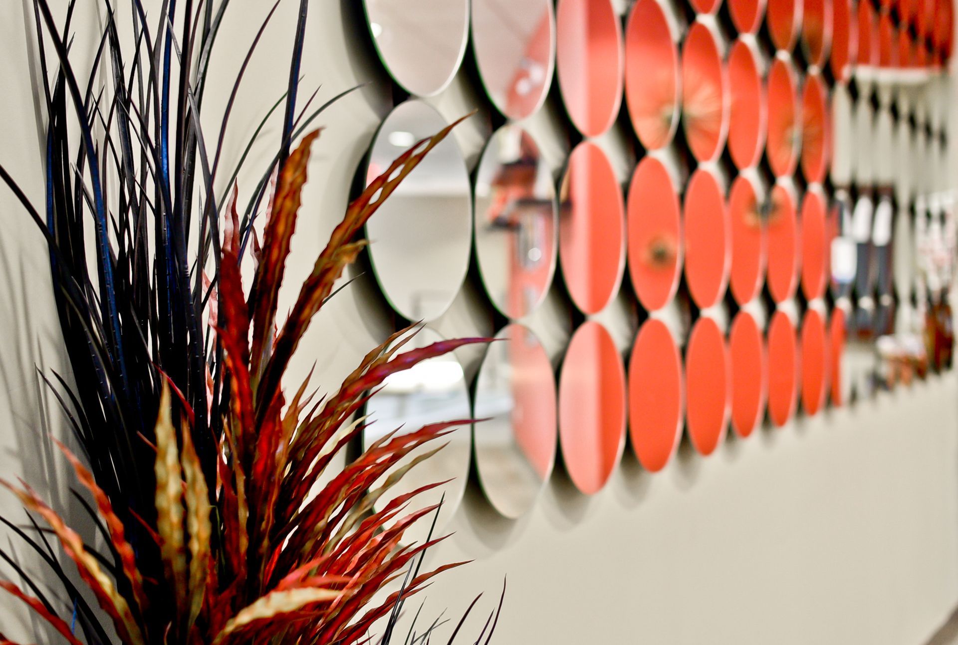 A plant is sitting in front of a wall with circles on it.