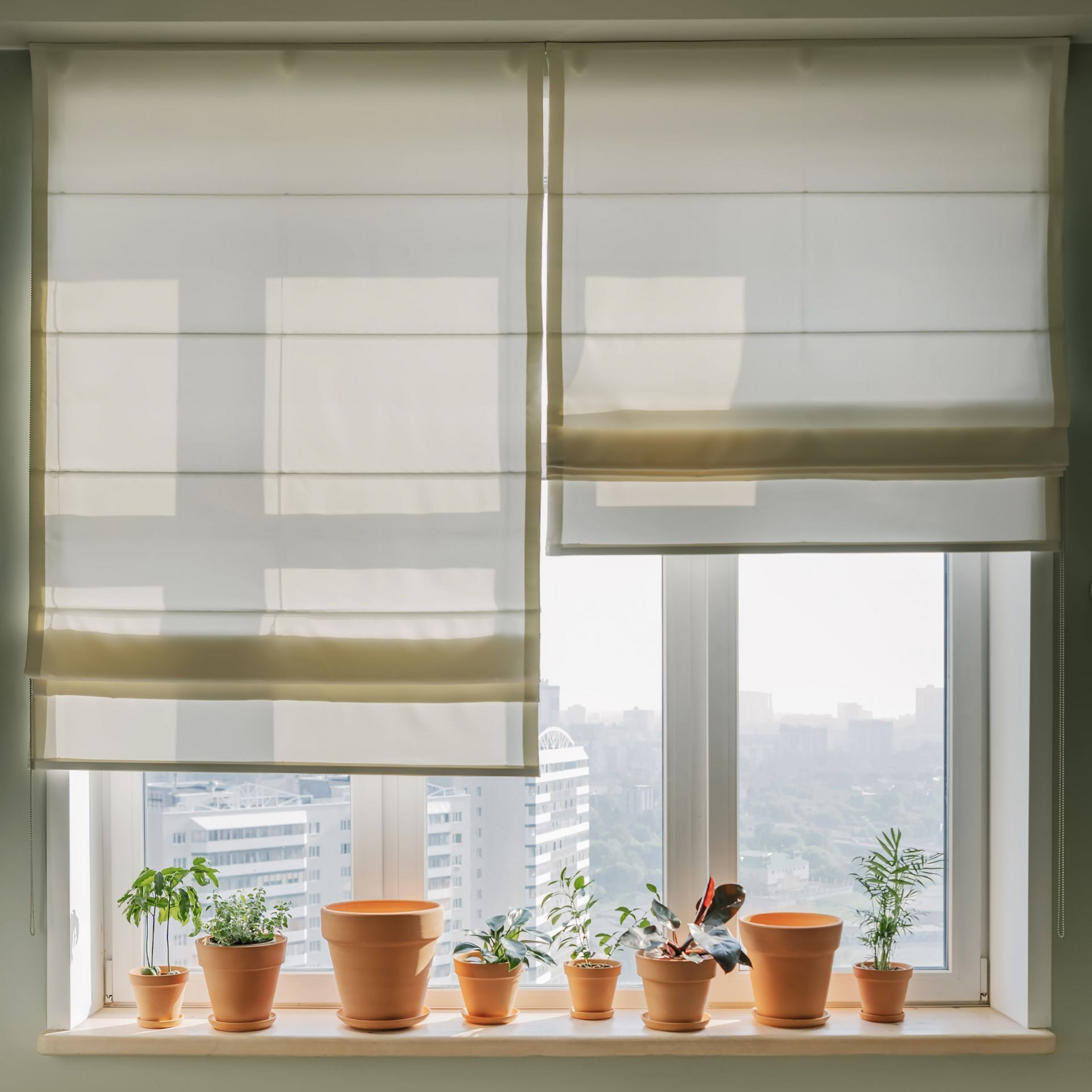 Window with beige Roman shades, windowsill with potted plants, city view.