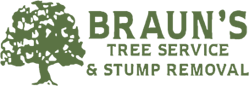 Green tree with 