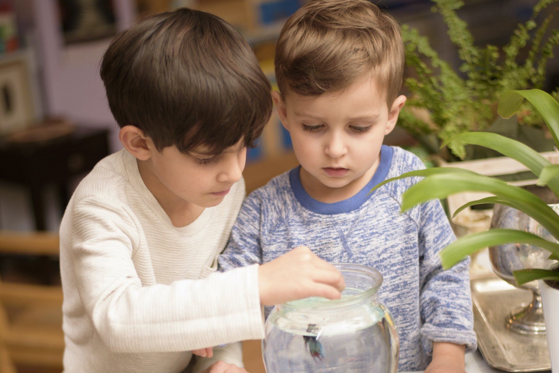 Older boy collaborating with younger boy in a Montessori classroom