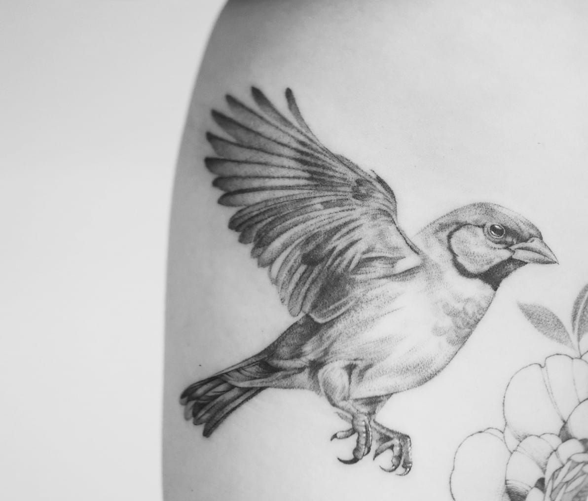 Best Fine Line Micro Realism Tattoo Artist best-fine-line-micro-realism-tattoo-artist
