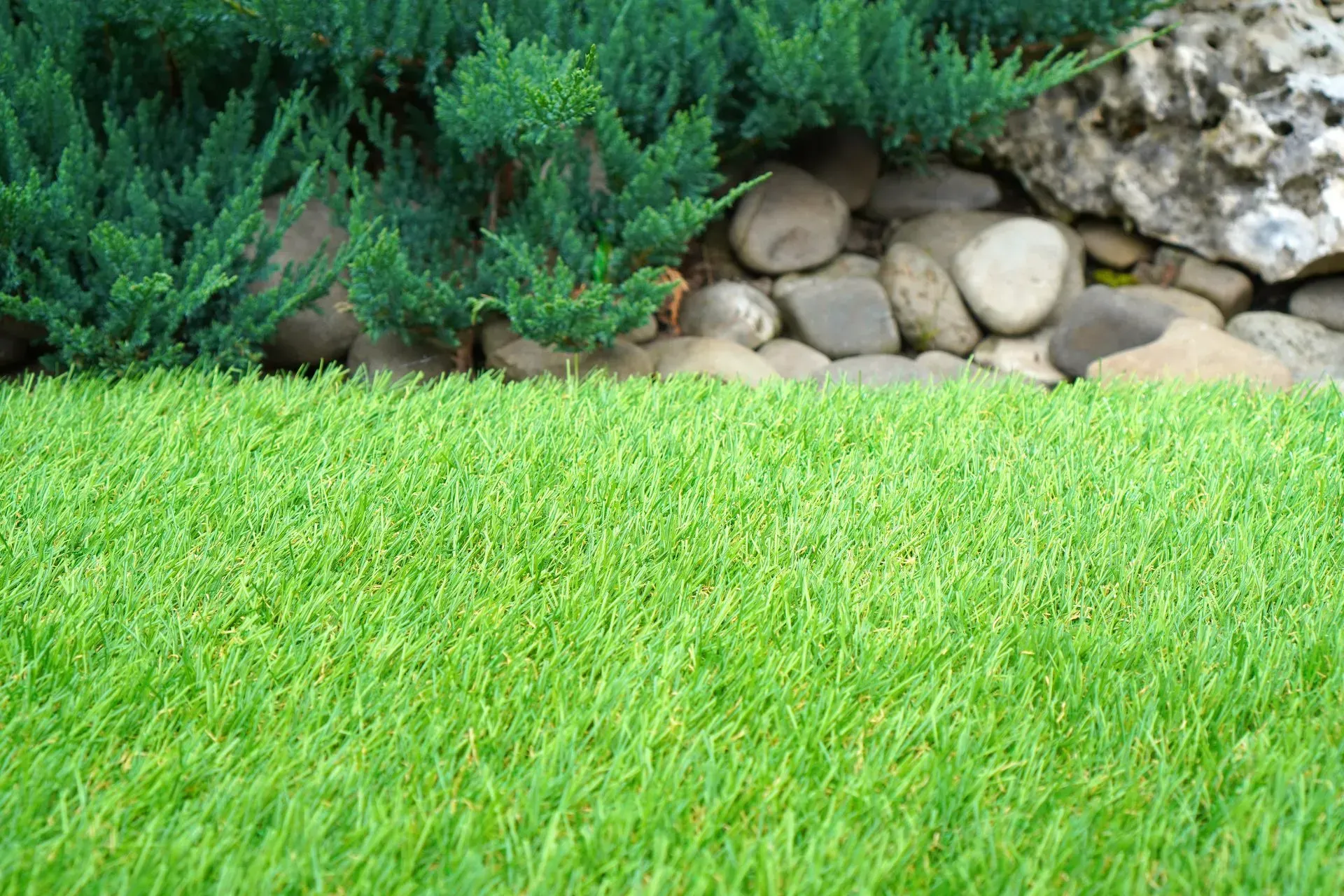 Henderson Artificial Turf-Green grass in front of a juniper bush and a small rock wall.
