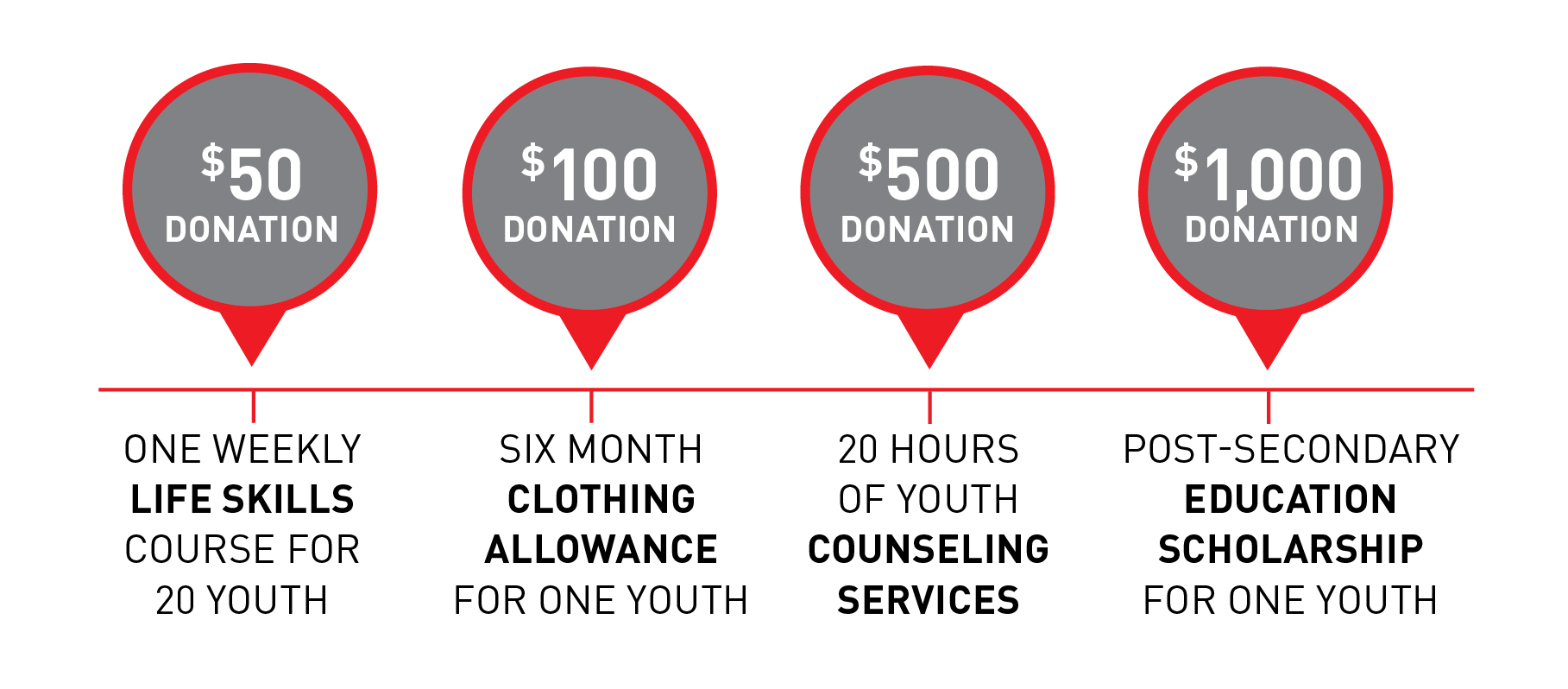 A diagram showing the costs of various donations for one youth