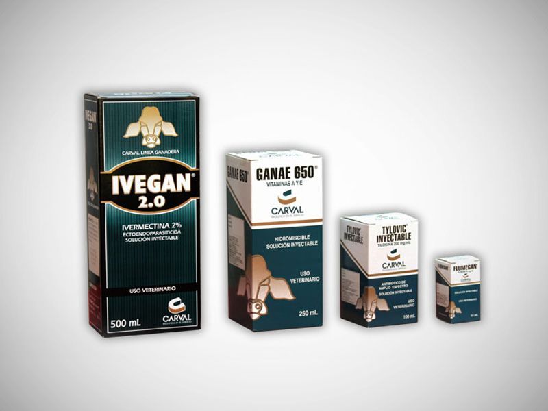 Cuatro cajas de suplementos IVEGAN 2.0 de diferentes tamaños sobre un fondo claro.