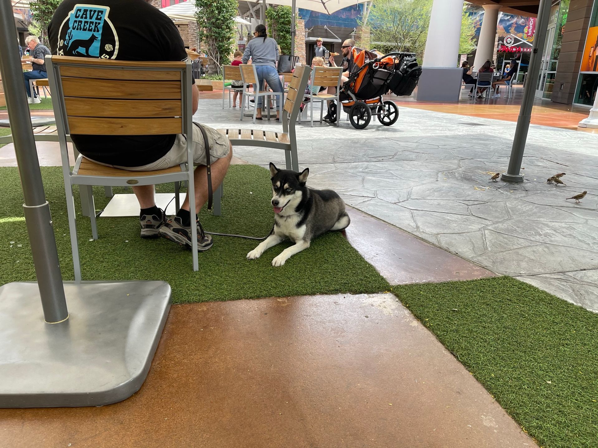About Us | Cave Creek K9 | Arizona Dog Trainer