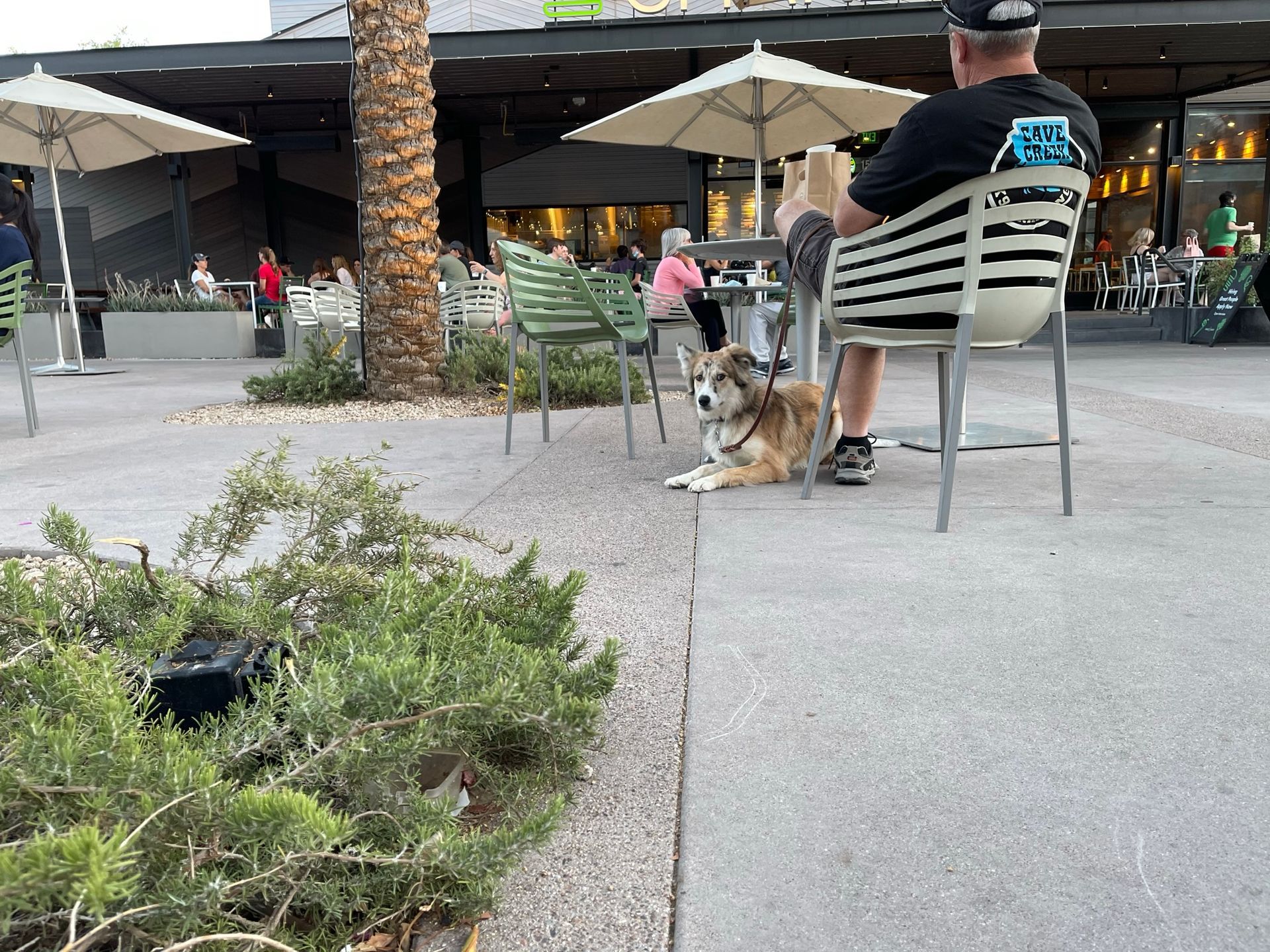 About Us | Cave Creek K9 | Arizona Dog Trainer