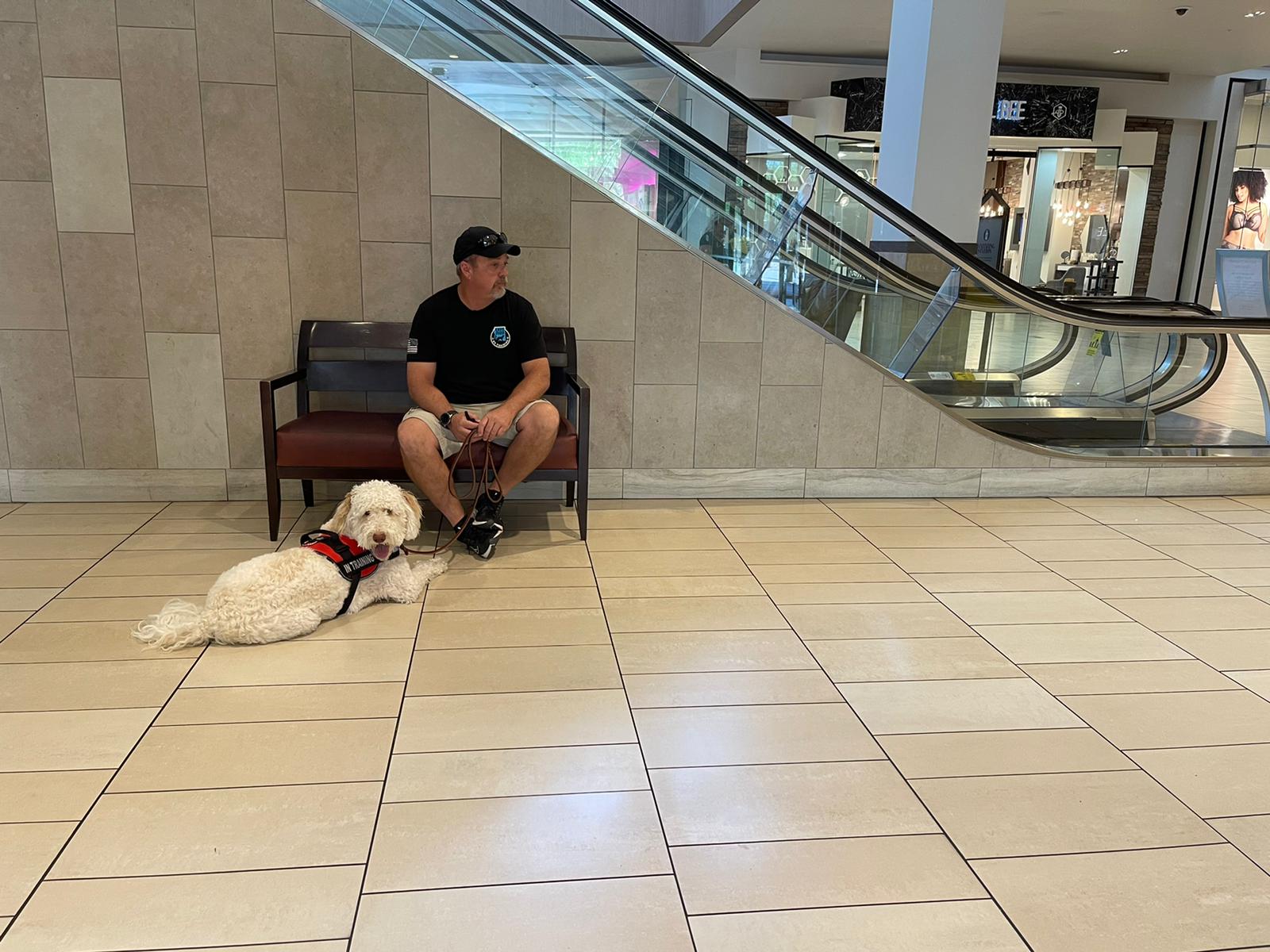 About Us | Cave Creek K9 | Arizona Dog Trainer
