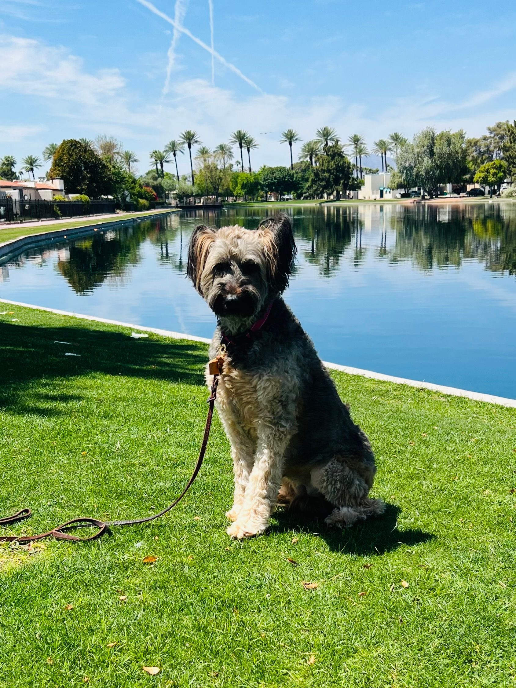 About Us | Cave Creek K9 | Arizona Dog Trainer