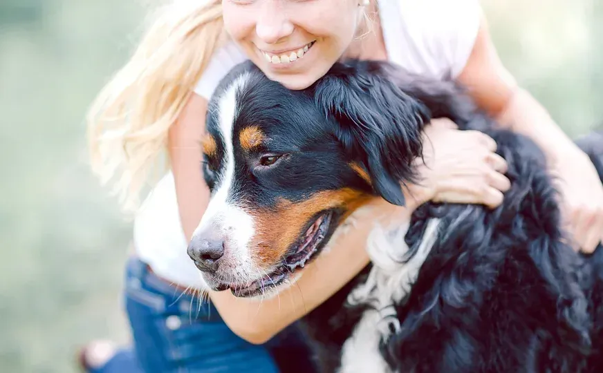 Cave Creek K9 | Arizona Dog Trainer