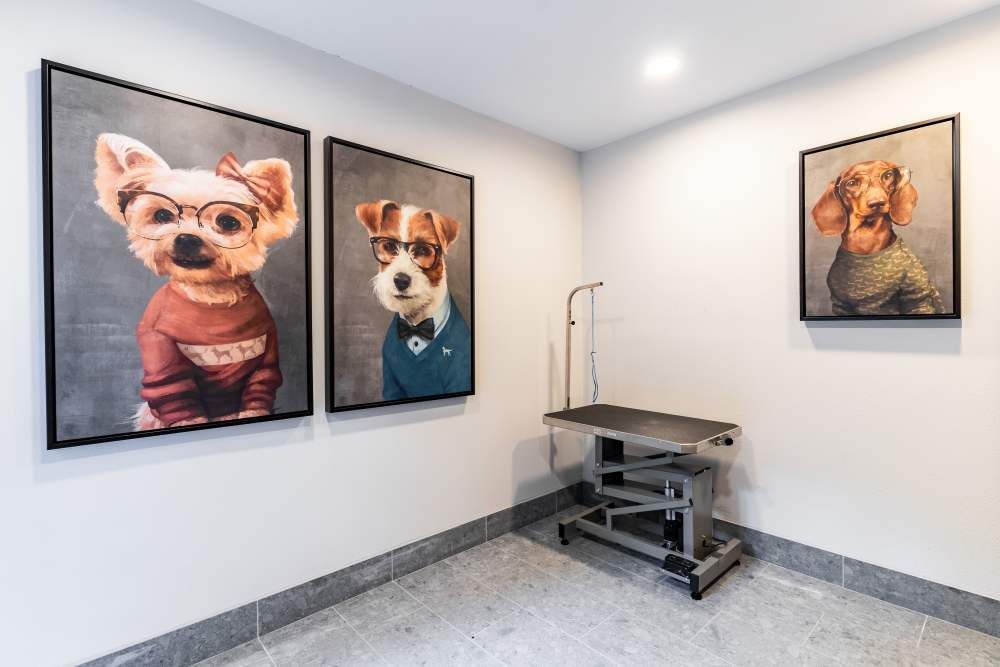 Interior pet care area with dog portraits and a grooming table.