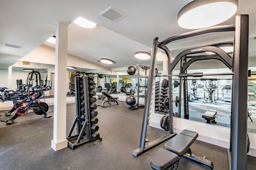 Fitness center with free weights, benches, and cardio machines in a gym.