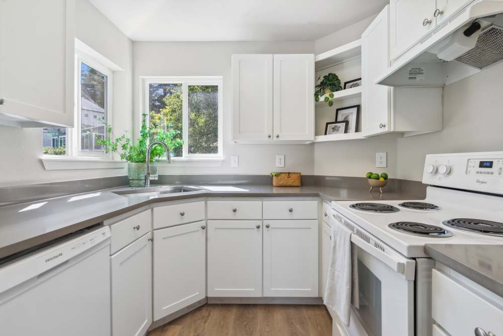 White kitchen with L-shaped gray countertop, white cabinets, sink, and stove.