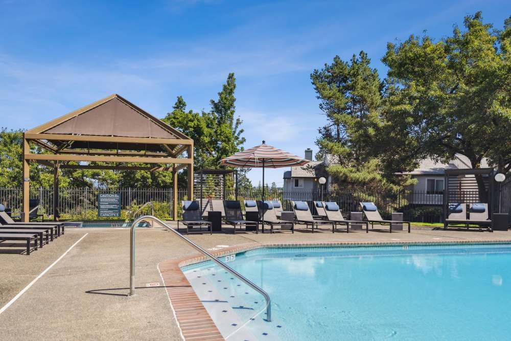 Poolside scene with lounge chairs, canopy, and blue water under a sunny sky.