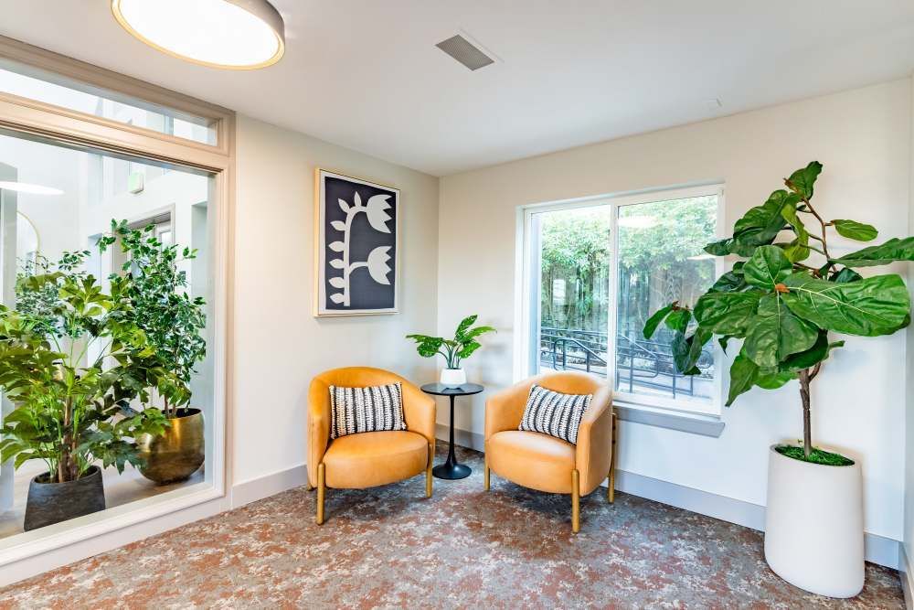 Two orange chairs, small table, and potted plants in a bright room with window.