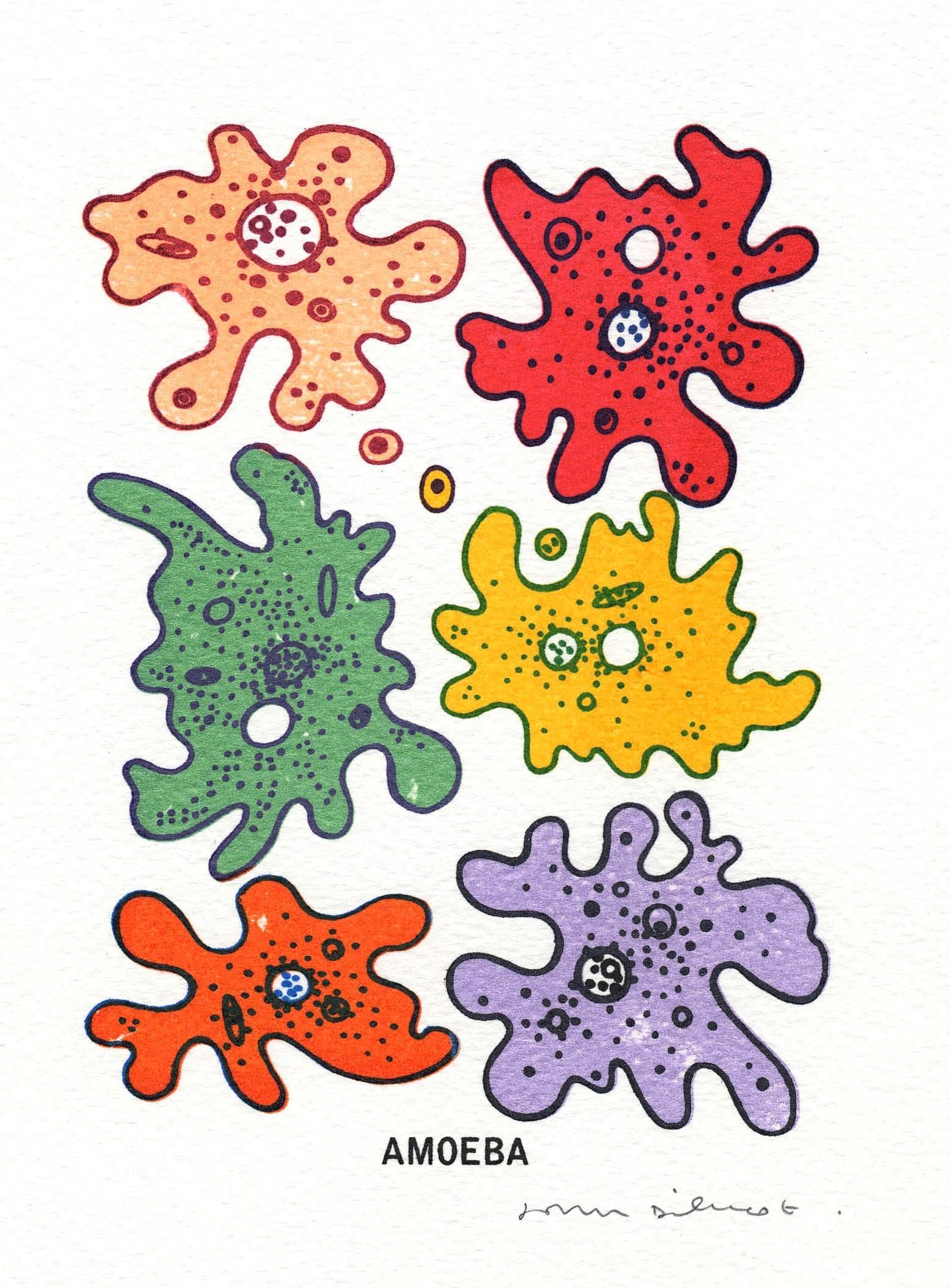 Fungi and Human Life