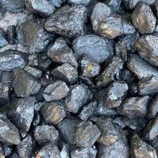 Black Chestnut
