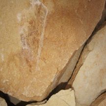 Michigan Sandstone