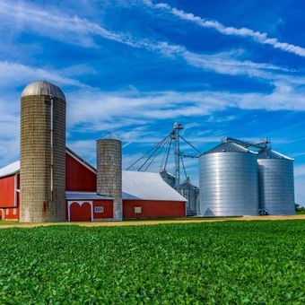Lime, fertilizers, soil testing products and services for farms