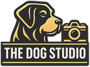 The Dog Studio NM The Dog Studio NM
