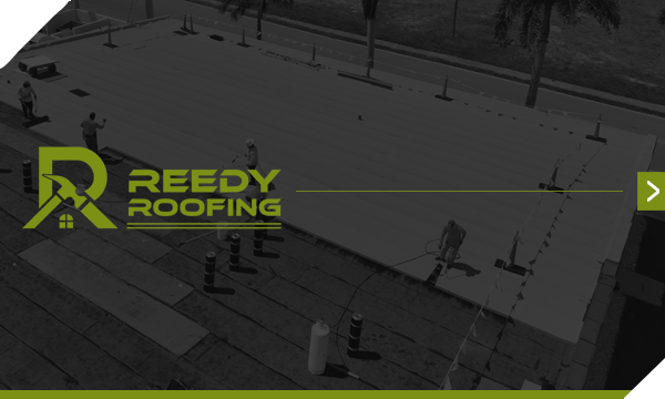 Roofing workers installing a flat roof; Reedy Roofing logo overlaid on scene.