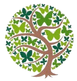 EverWellSince Inc. EverWellSince Inc.