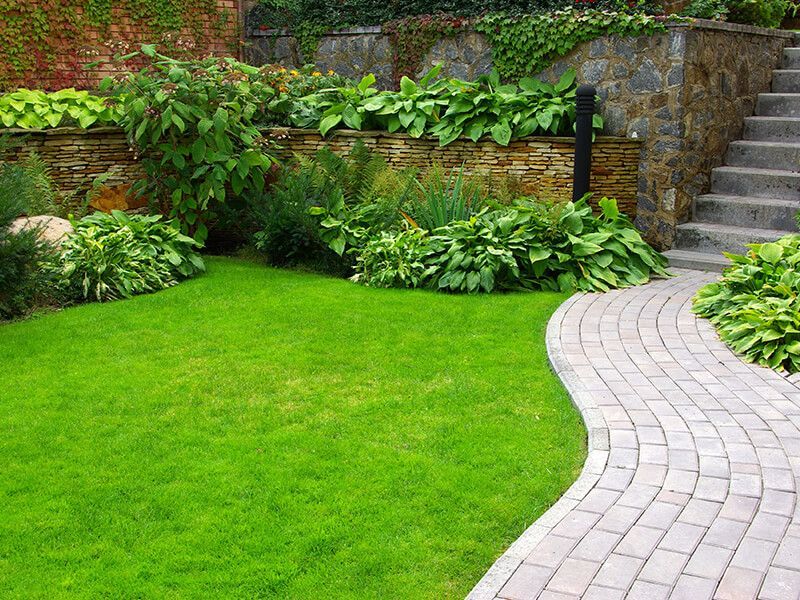 Lush green lawn with a winding stone path, bordered by plants and a stone wall with steps.