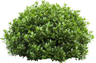 Landscaper services in Prescott AZ
