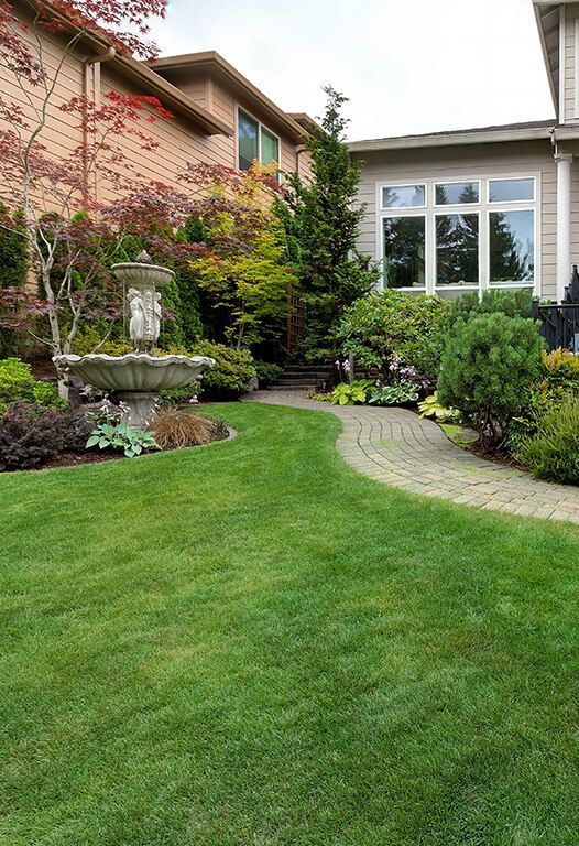 Landscaping company in Prescott AZ