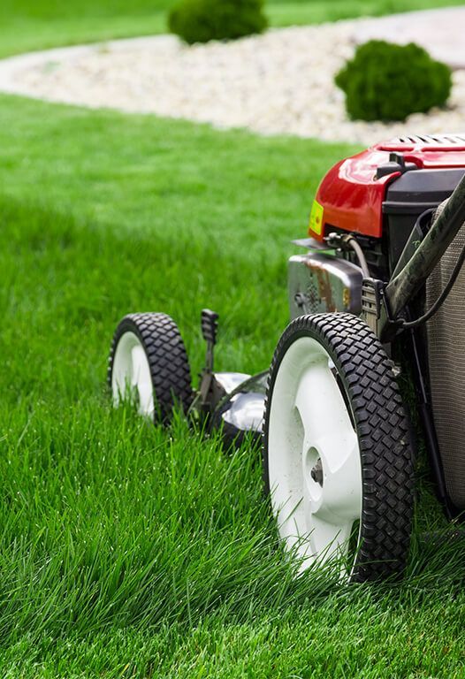 Landscaping maintenance in Prescott AZ