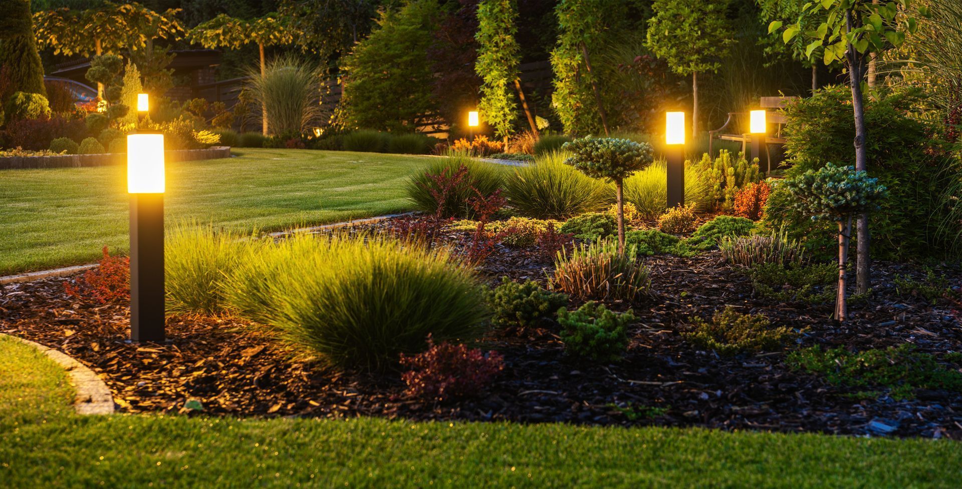 Garden at night, with lit pathway lights. Green grass, shrubs, and trees.
