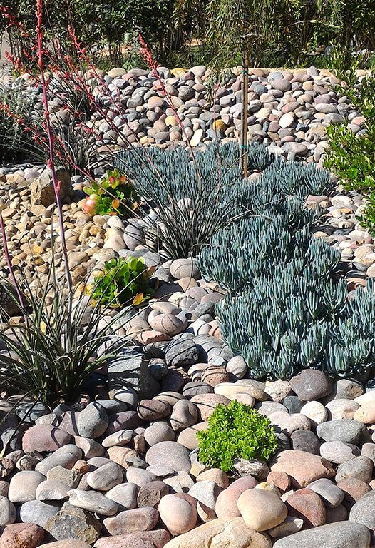 Landing service Prescott AZ