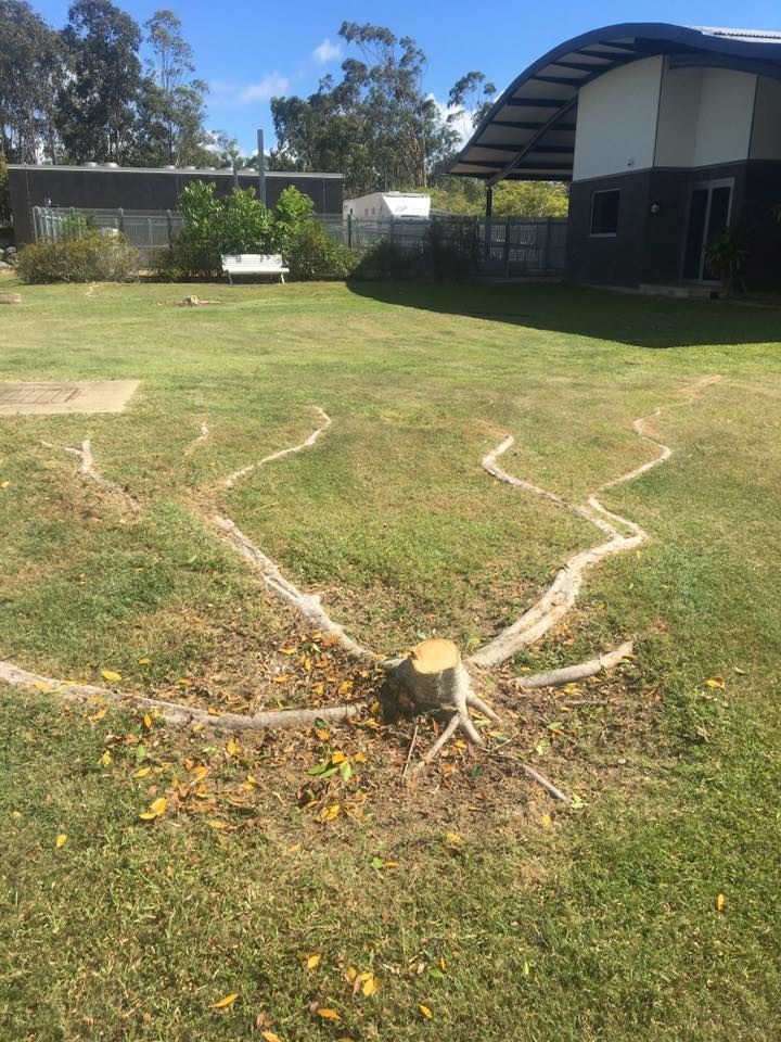 A Tree Stump in The Middle of A Grassy Field with A Building in The Background — Troy Weier Tree Service In Frenchville, QLD