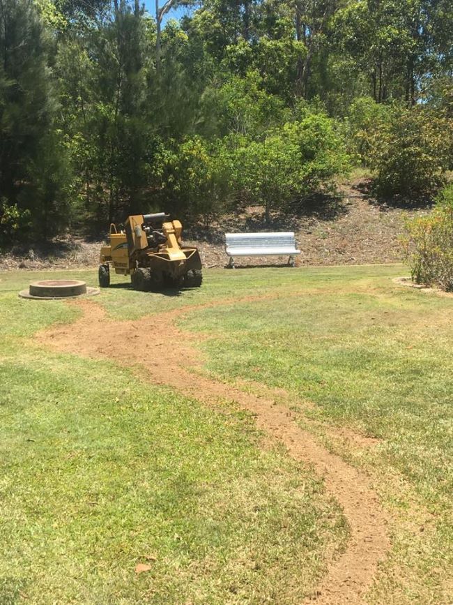 A Yellow Tractor Is Sitting in The Middle of A Grassy Field — Troy Weier Tree Service In Frenchville, QLD