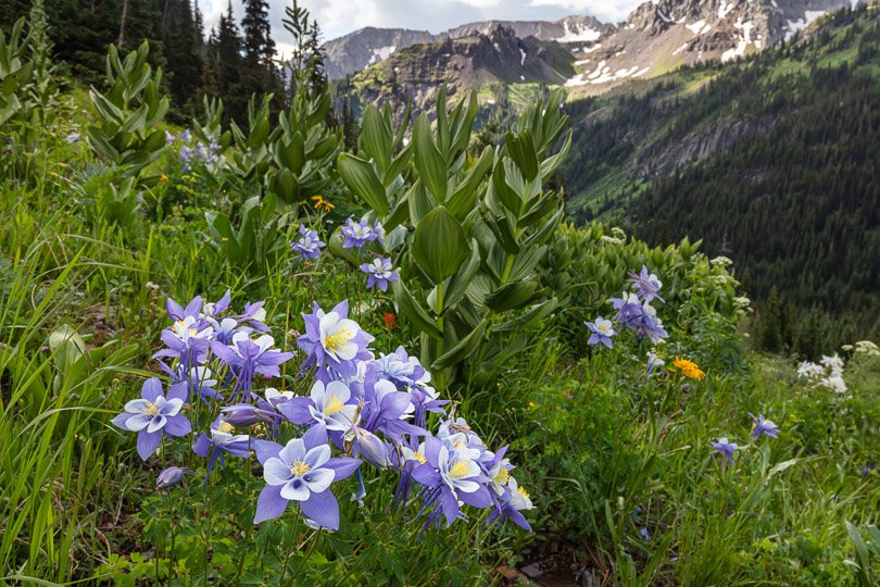 Photography Durango, CO 9703855853