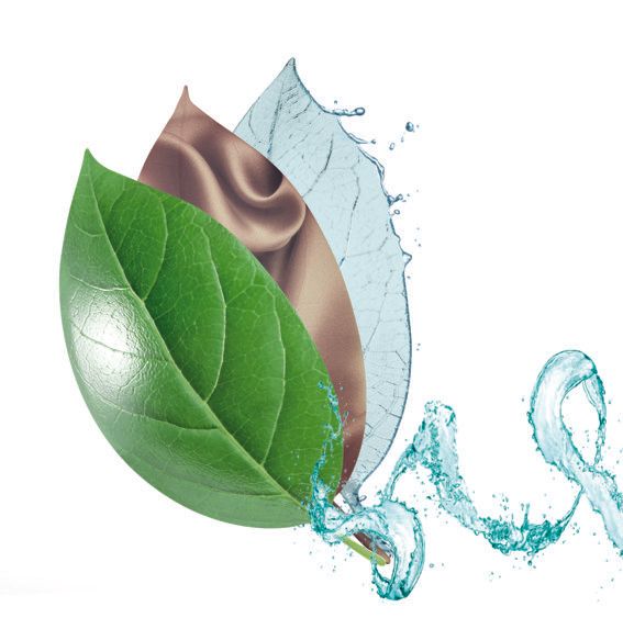 eco friendly 1