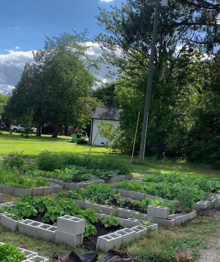 A garden filled with lots of plants and bricks