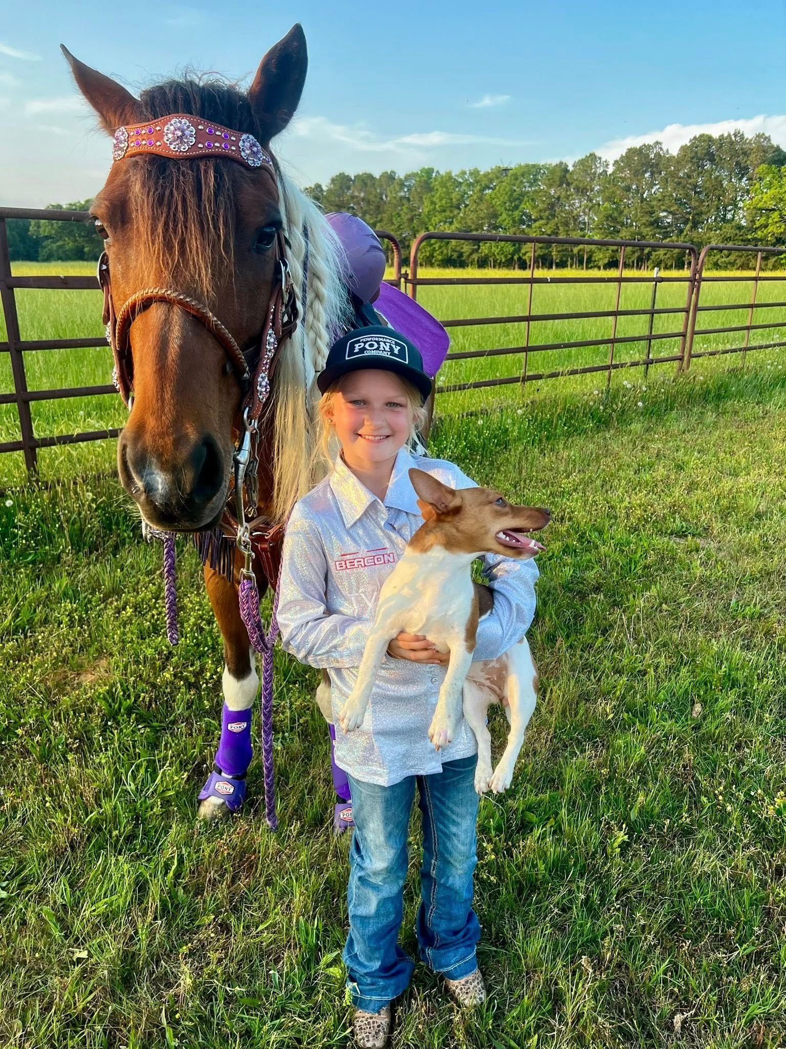 Child holding a goat beside a decorated horse in a grassy field with a wooden fence background