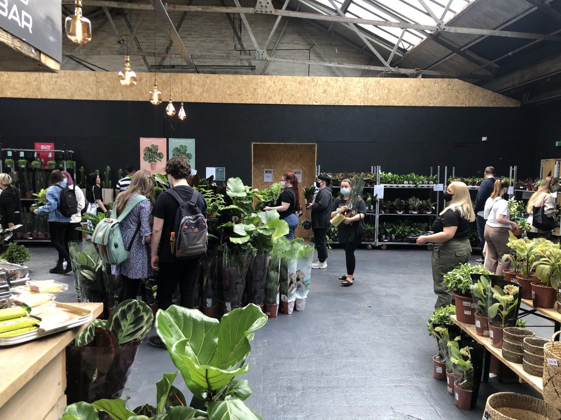 People browse and shop for plants inside a brightly lit store.