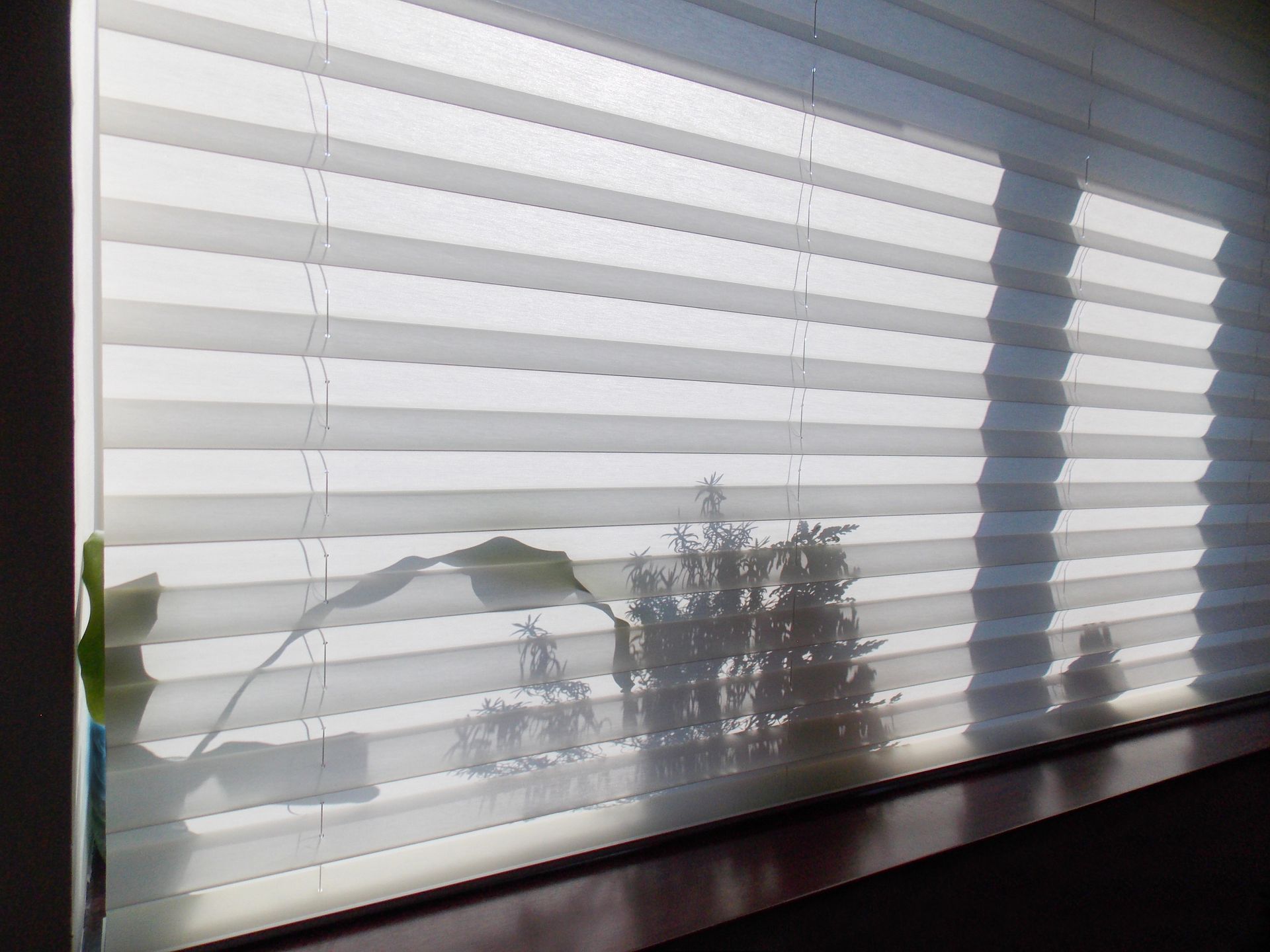brown roman blind shade curtain tree