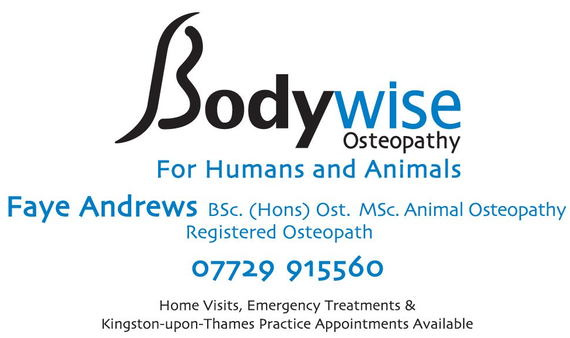 Bodywise Osteopathy logo