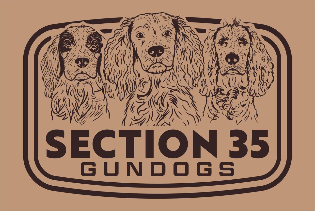 hunting dog training