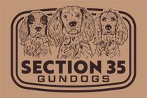 Gun Dog Training