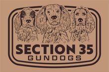 waterfowl and upland dog training