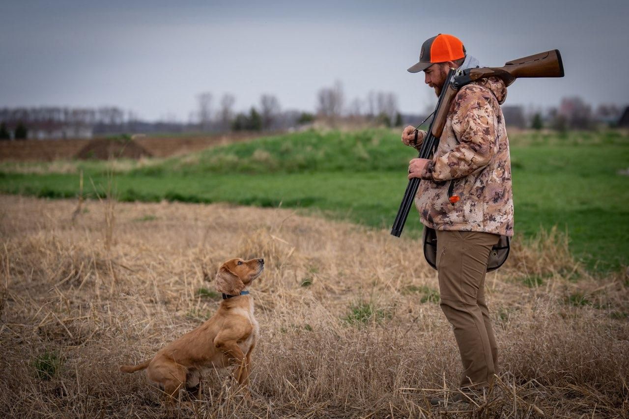 field trial dog handling