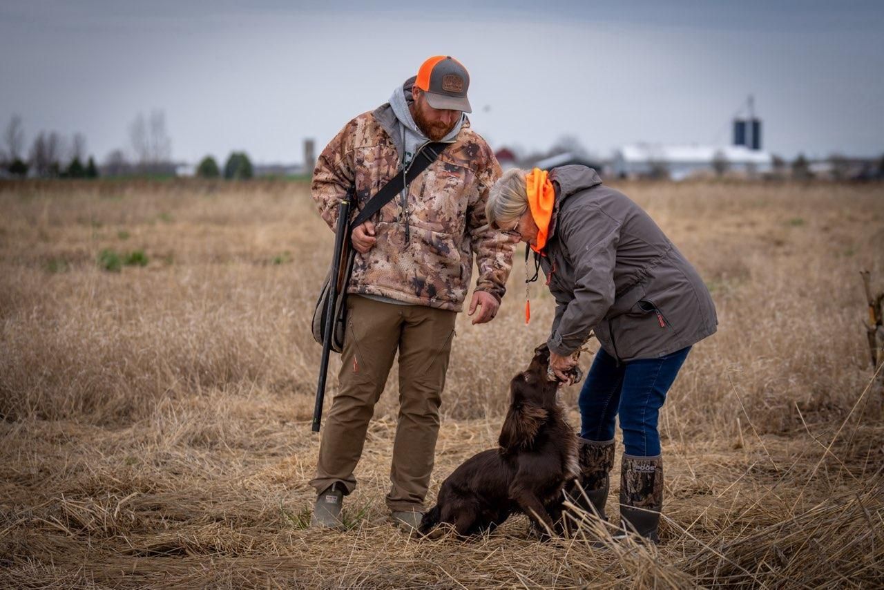 upland game dog