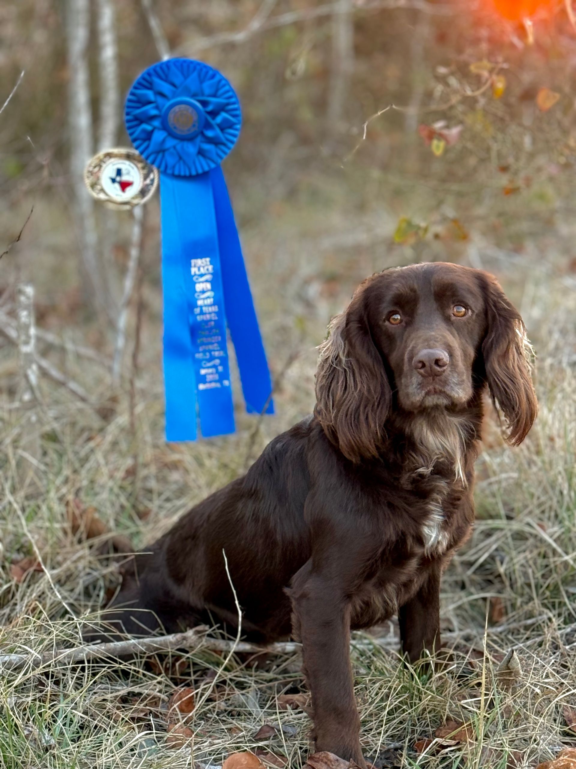 Upland Game Bird Hunting Dog Trainers North Dakota