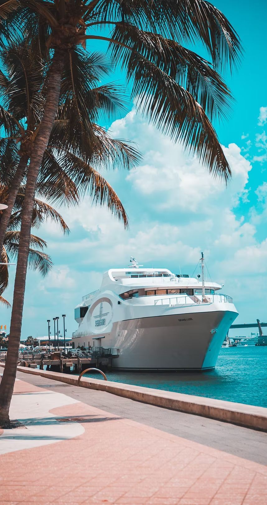 Palm-lined waterfront with a white yacht docked beside turquoise water under a bright blue sky