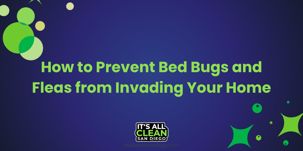 How to Prevent Bed Bugs and Fleas from Invading Your Home