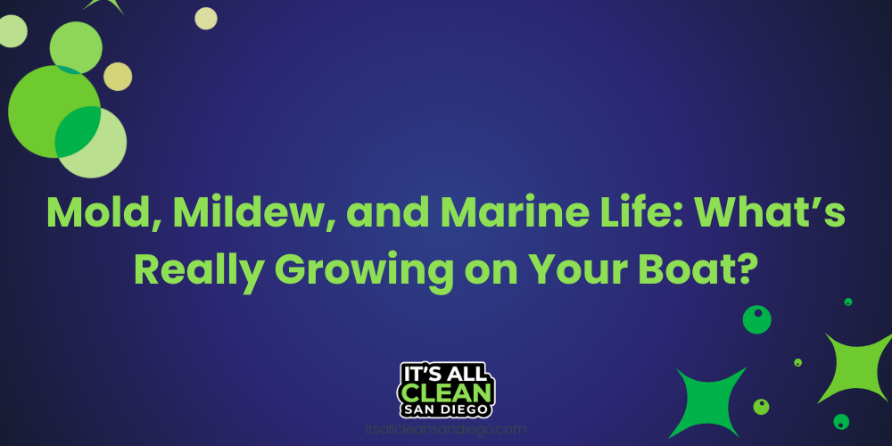 Mold, Mildew, and Marine Life: What’s Really Growing on Your Boat?